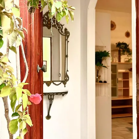 Amuri E Mari - Terrace House Apartment *